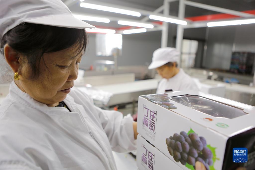 皇冠信用网手机